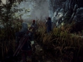 The Witcher 2: new images