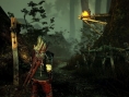 The Witcher 2 : plus court que le premier
