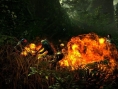 The Witcher 2 : plus court que le premier