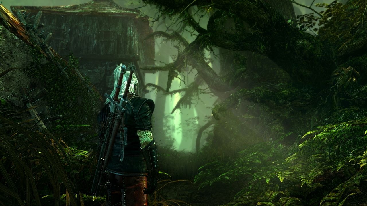 The Witcher 2: new images