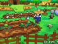 Vision Level-5 : images Fantasy Life