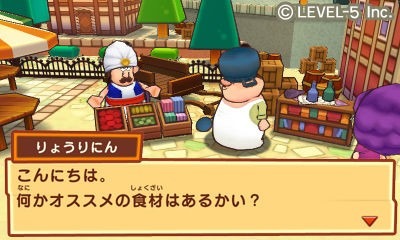 Vision Level-5 : images Fantasy Life