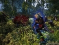 The Witcher 2 : un trailer de plus