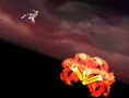 Last Ranker: new images and video