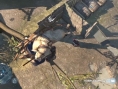 Assassin's Creed III : le plein d'images