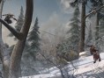 Video Assassin's Creed III