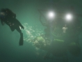 GTA V : quelques images de plus