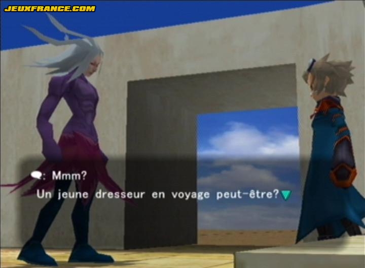 Pokémon Colosseum : plus d'images