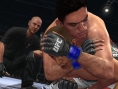UFC 2010 Undisputed: new images