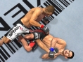 UFC 2010 Undisputed: new images