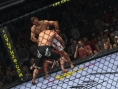 UFC 2010 Undisputed: new images