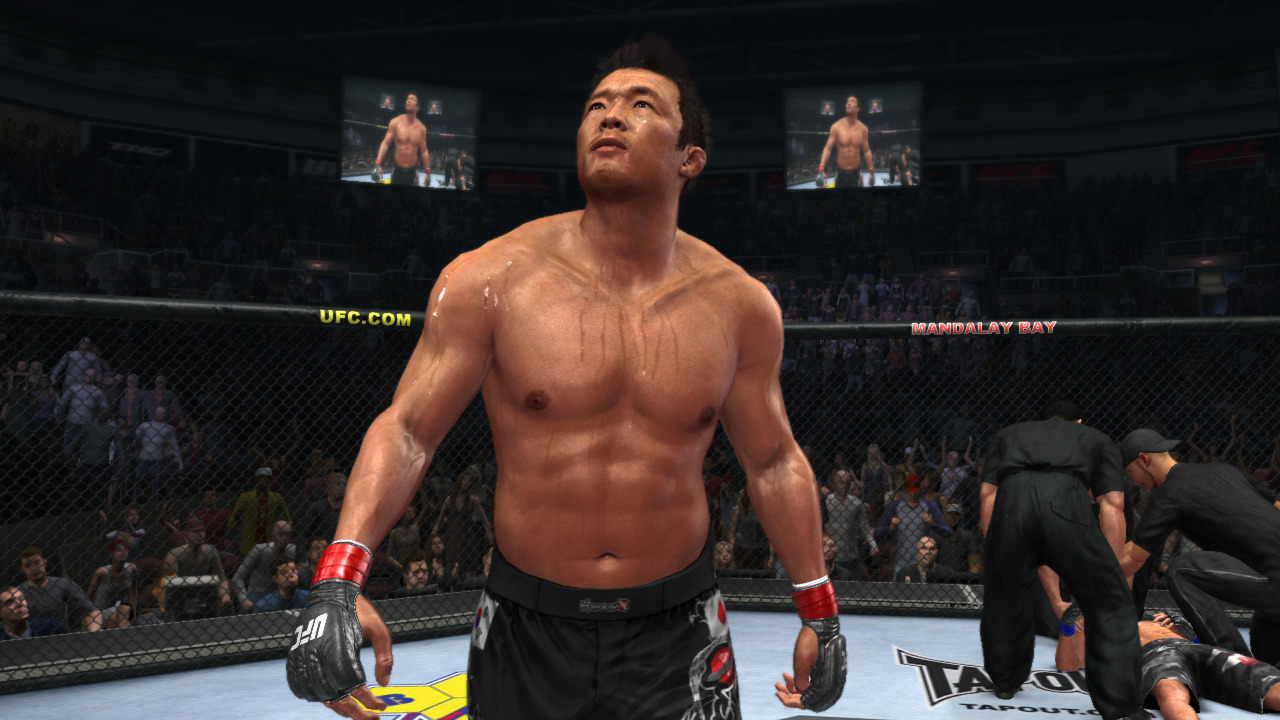 UFC 2010 Undisputed: new images