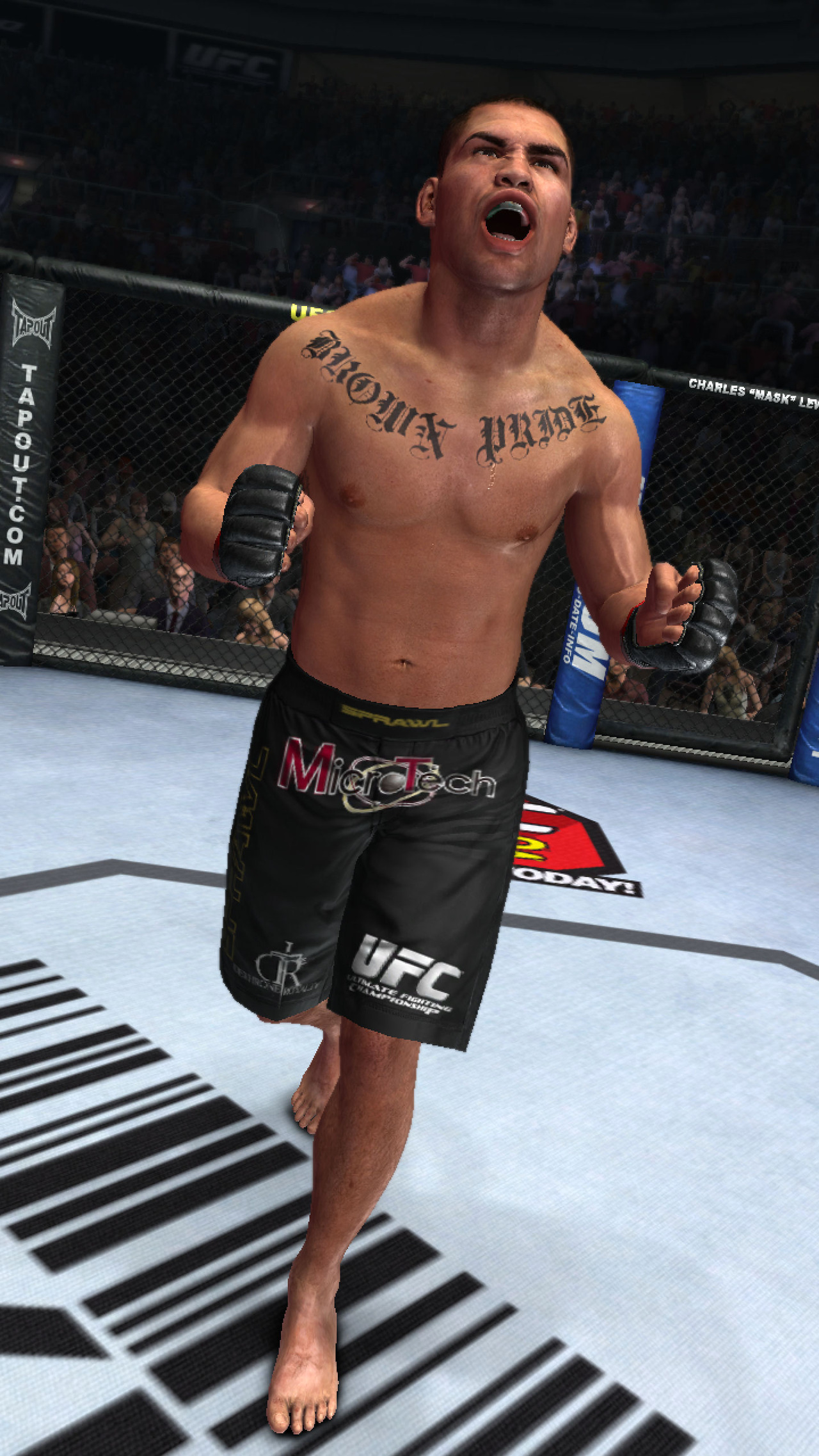 UFC 2010 Undisputed tabasse en images