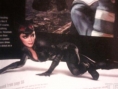 Batman Arkham City : premières images !