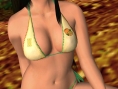 Dead or Alive Paradise: images and video