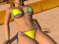 Dead or Alive Paradise: images and video