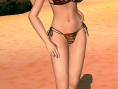 Dead or Alive Paradise: images and video