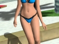 Dead or Alive Paradise: images and video