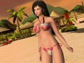 Dead or Alive Paradise: images and video
