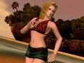 Dead or Alive Paradise: images and video