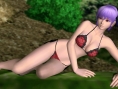Dead or Alive Paradise: images and video