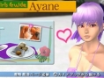 Dead or Alive Paradise: images and video