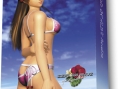 Dead or Alive Paradise : l'édition collector se montre