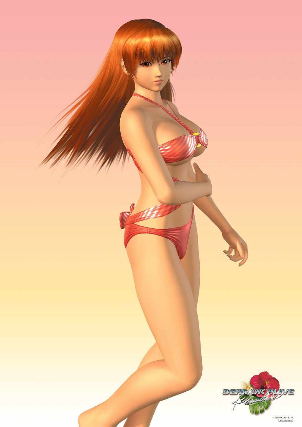 Dead or Alive Paradise: new images