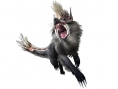Monster Hunter Frontier: new images
