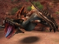 Monster Hunter Frontier: new images
