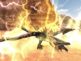 Monster Hunter Frontier: new images