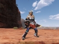 Monster Hunter Frontier Online : une douzaine d'images