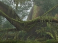 Monster Hunter Frontier Online : une douzaine d'images