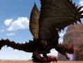 Monster Hunter Frontier Online: new images