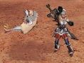Monster Hunter Frontier Online: new images