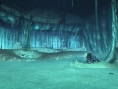 Xenoblade: new images