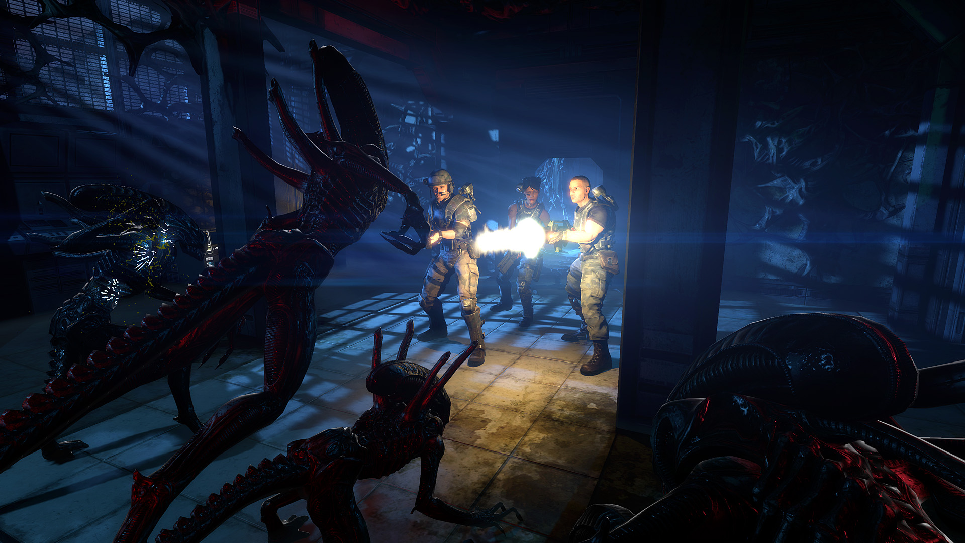 Aliens Colonial Marines se montre un peu plus