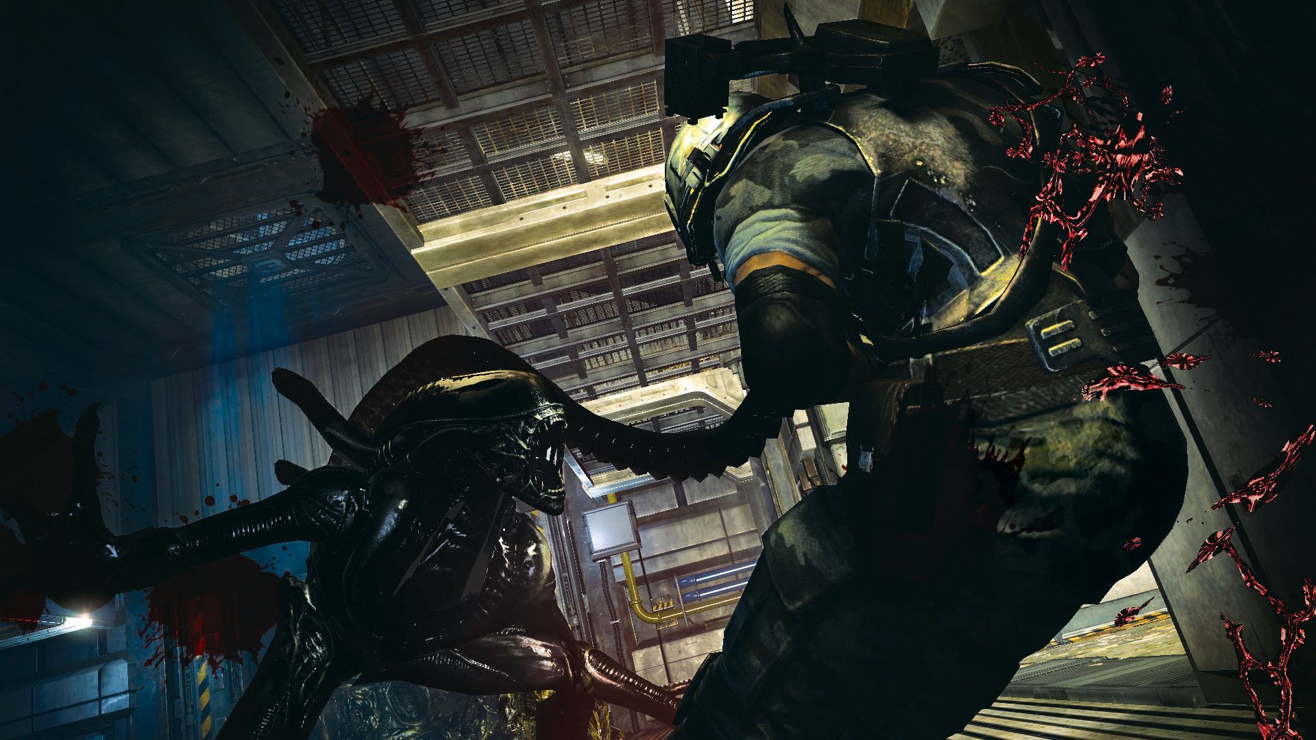 L'affaire Aliens Colonial Marines n'en finit plus