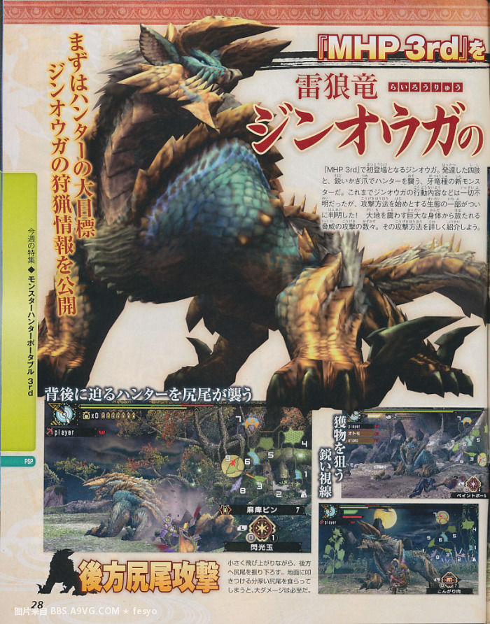 Monster Hunter 3 PSP: new images