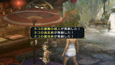 Monster Hunter Portable 3rd : encore des images