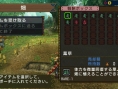 Monster Hunter Portable 3rd : un flot d'images