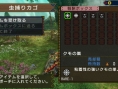 Monster Hunter Portable 3rd : un flot d'images