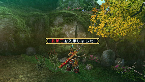 Monster Hunter Portable 3rd : un flot d'images