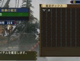 Monster Hunter Portable 3rd : un flot d'images