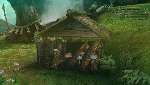 Monster Hunter Portable 3rd: new images