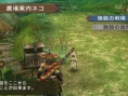 Monster Hunter Portable 3rd : un flot d'images