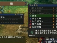 Monster Hunter Portable 3rd : un flot d'images