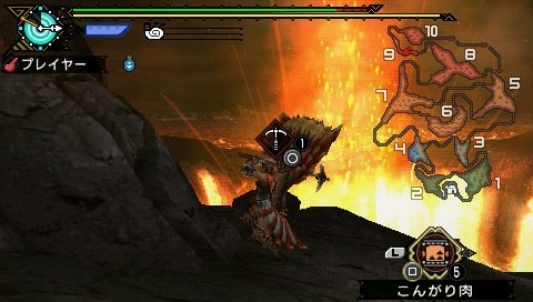 Monster Hunter Portable 3rd: new images