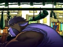 Solatorobo : le plein d'images