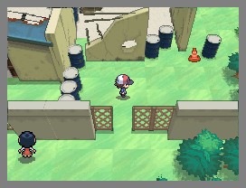Pokémon Black & White: new images